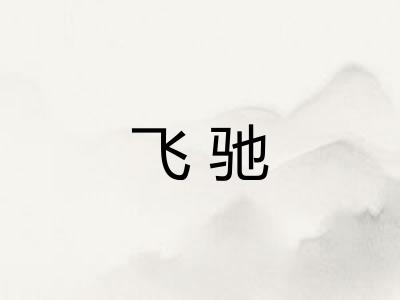 飞驰 飞驰