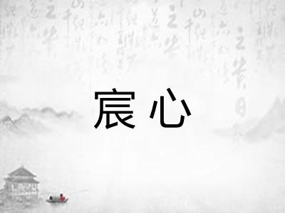 宸心 宸心