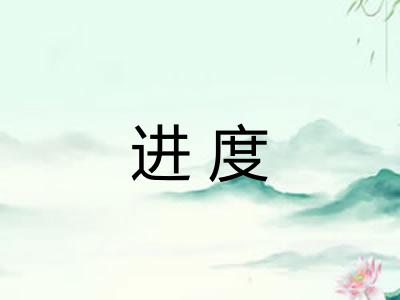 进度