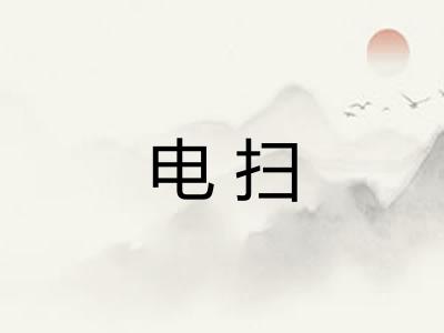 电扫 电扫