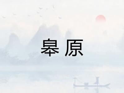 皋原 皋原