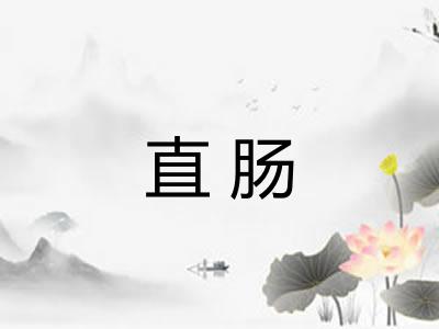 直肠