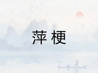 萍梗 萍梗