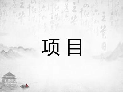 项目 项目
