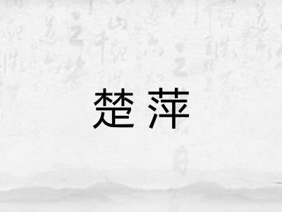 楚萍 楚萍