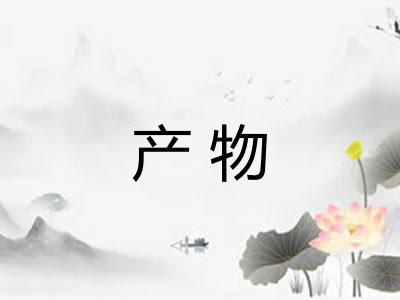 产物 产物