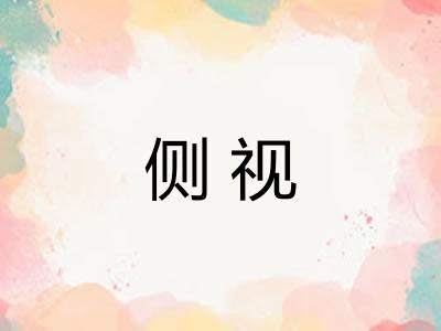 侧视 侧视
