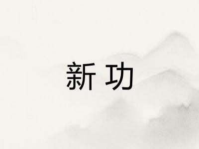 新功 新功