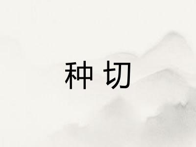 种切 种切