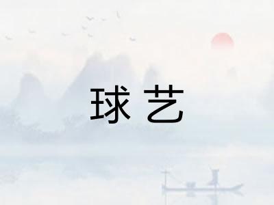 球艺 球艺