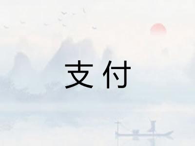 支付 支付