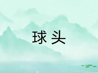 球头 球头