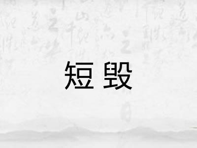 短毁 短毁