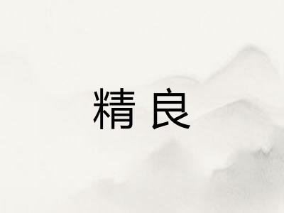 精良 精良