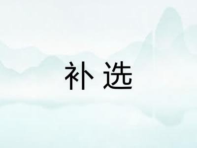 补选 补选