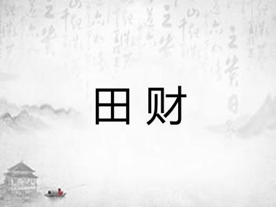 田财 田财
