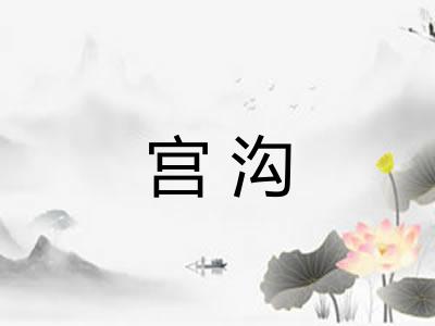 宫沟 宫沟