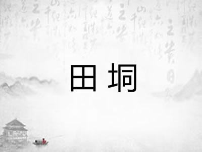 田垌 田垌