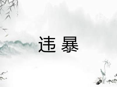 违暴 违暴