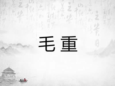 毛重