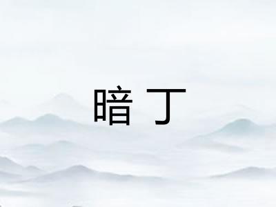 暗丁 暗丁
