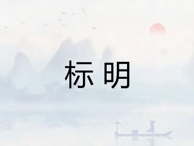 标明 标明