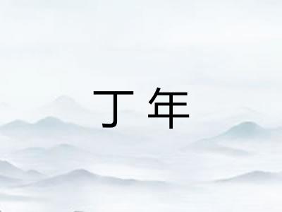 丁年