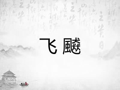 飞飇 飞飇