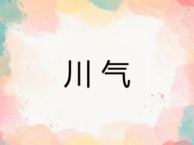 川气 川气