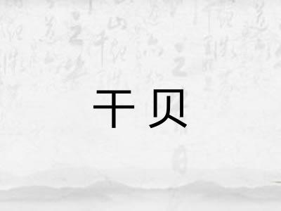 干贝 干贝