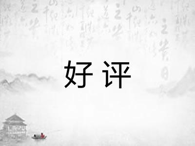 好评 好评