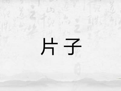 片子 片子