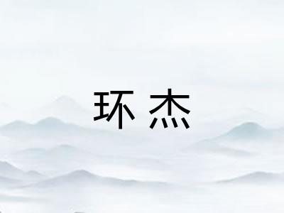 环杰 环杰