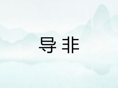 导非 导非