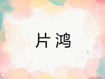 片鸿 片鸿