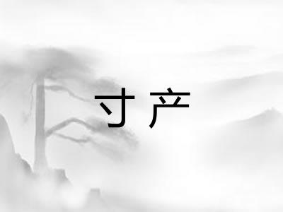 寸产 寸产