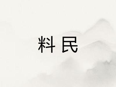 料民