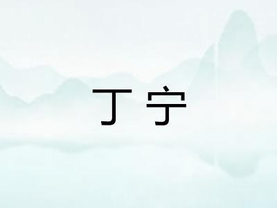 丁宁