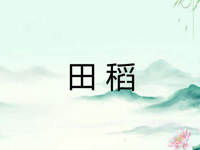 田稻 田稻