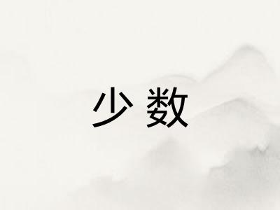 少数 少数