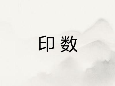 印数