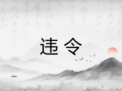 违令 违令