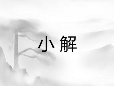 小解 小解