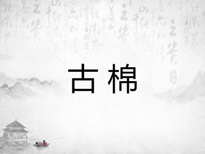 古棉 古棉