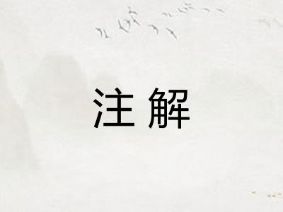 注解 注解