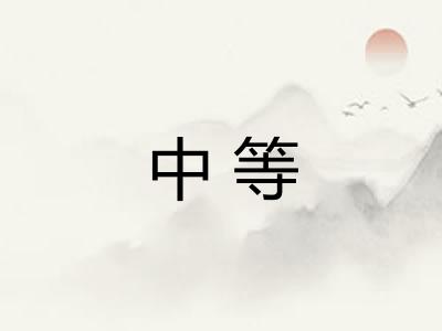 中等 中等