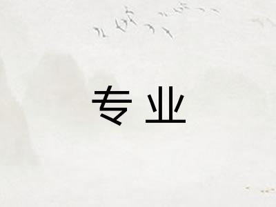 专业 专业