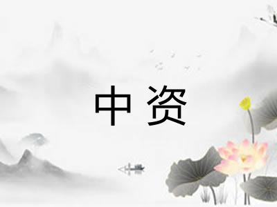中资 中资