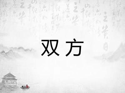 双方 双方