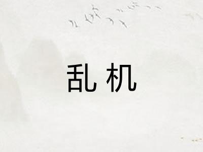 乱机